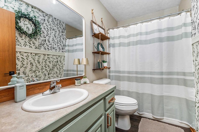 1320 Raymond Ct, Platteville, WI 53818 - full bath featuring vanity, toilet, wood finished floors, a textured ceiling, and curtained shower