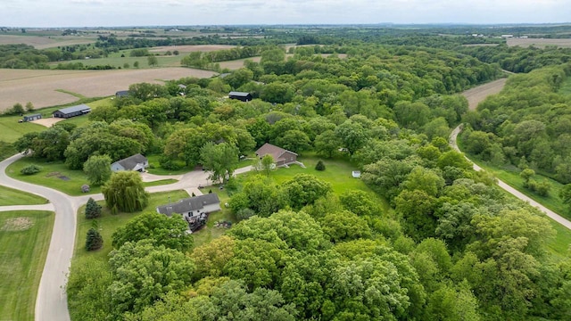 1320 Raymond Ct, Platteville, WI 53818 - aerial view of a forest