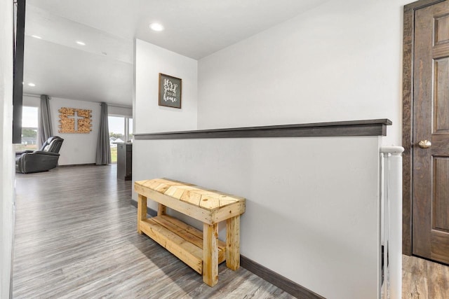 1732 Patriot Way, Neenah, WI 54956 - hallway featuring wood finished floors, baseboards, and recessed lighting