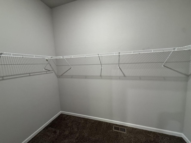 941 Colt Dr, Belleville, WI 53508 - walk in closet featuring dark carpet