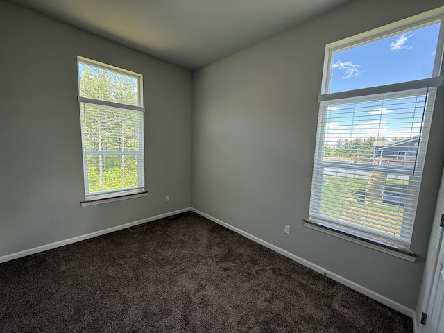 941 Colt Dr, Belleville, WI 53508 - spare room featuring dark colored carpet and baseboards