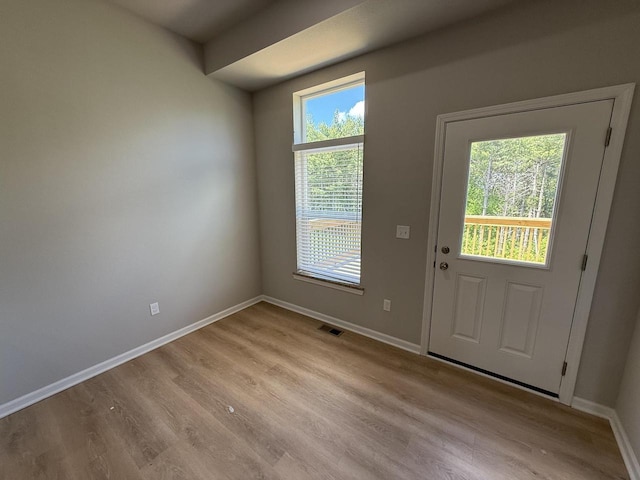 941 Colt Dr, Belleville, WI 53508 - doorway to outside with light wood-type flooring and baseboards