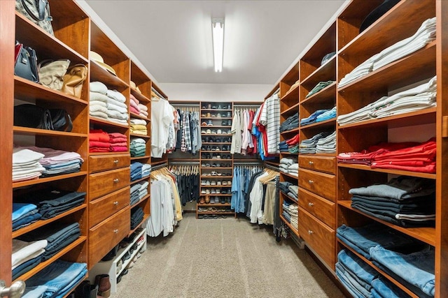 7197 Welford Pl, Sun Prairie, WI 53590 - spacious closet featuring carpet flooring