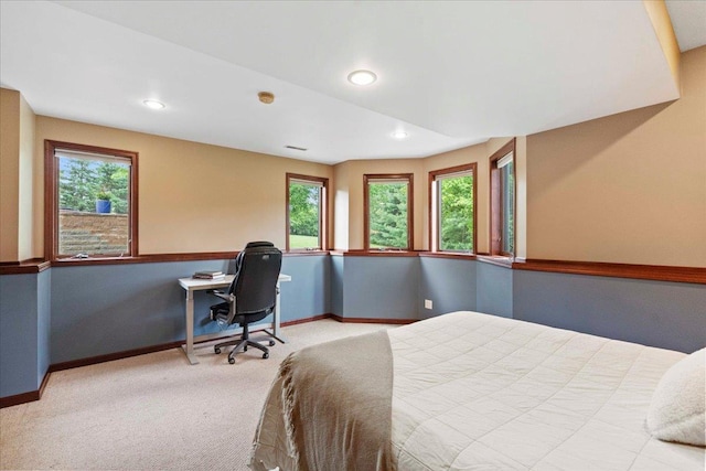 7197 Welford Pl, Sun Prairie, WI 53590 - bedroom featuring carpet, baseboards, recessed lighting, and an office area