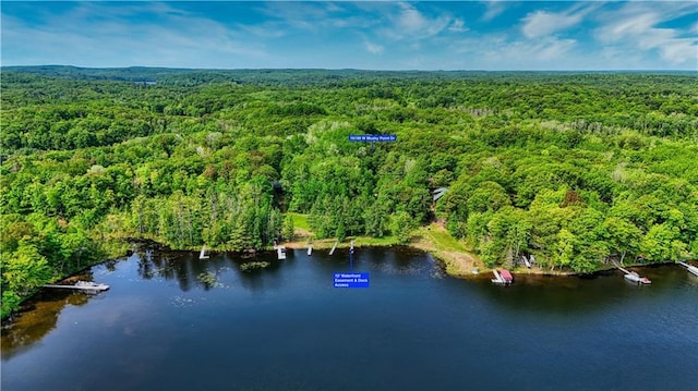 16199 W Musky Point Dr, Stone Lake, WI 54843 - view of property location featuring a heavily wooded area and a large body of water