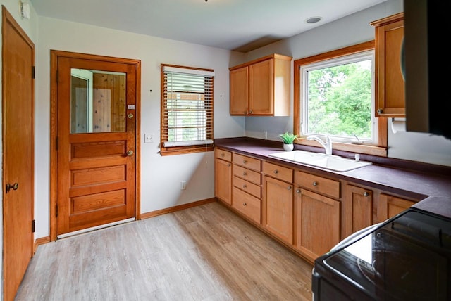 613 Anthony Ln, Madison, WI 53711 - kitchen with a sink, black electric range oven, light wood-type flooring, and plenty of natural light