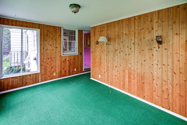 613 Anthony Ln, Madison, WI 53711 - carpeted spare room with wood walls
