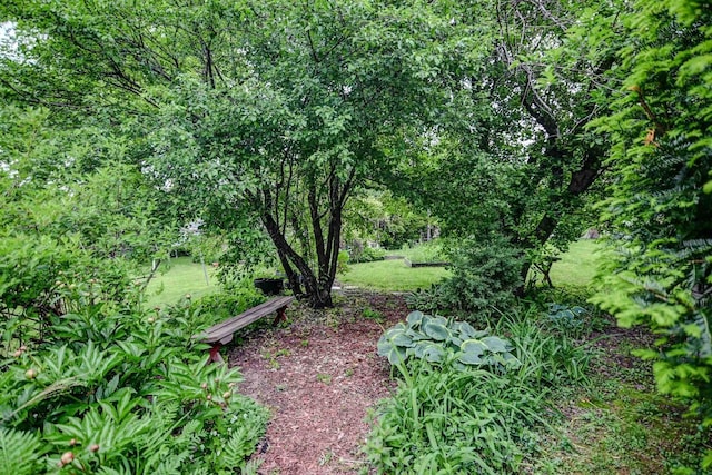 613 Anthony Ln, Madison, WI 53711 - view of yard