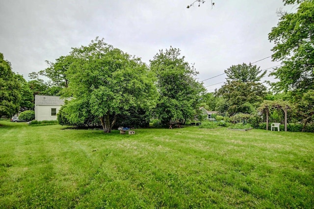 613 Anthony Ln, Madison, WI 53711 - view of green lawn