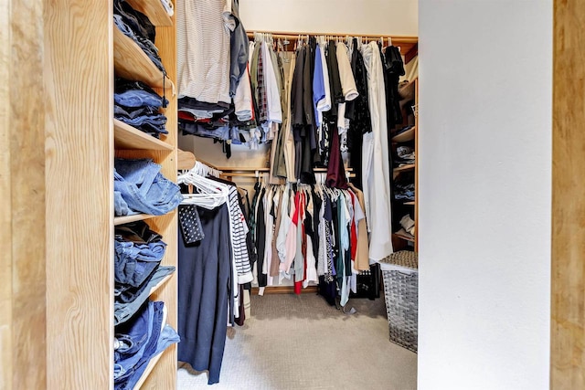 8373 Serenity Ln, Pulaski, WI 54162 - spacious closet with carpet floors