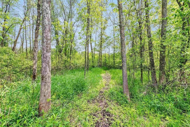 8373 Serenity Ln, Pulaski, WI 54162 - view of woods