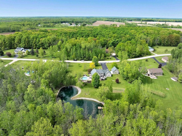 8373 Serenity Ln, Pulaski, WI 54162 - aerial view of property's location featuring a large body of water and a forest