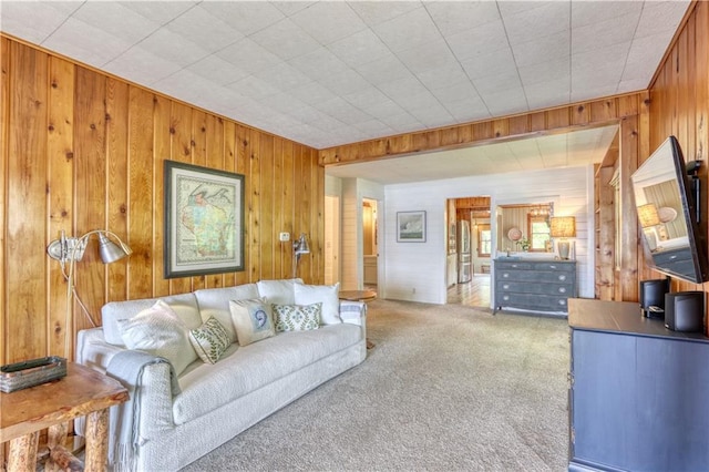 N5757 Division Ave, Stone Lake, WI 54876 - carpeted living area with wood walls