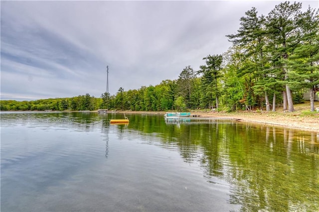 N5757 Division Ave, Stone Lake, WI 54876 - water view featuring a forest