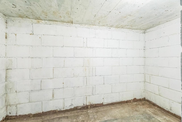 3559 E Van Norman Ave, Cudahy, WI 53110 - below grade area featuring concrete block wall