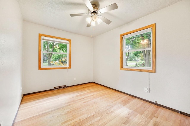 530 Dapin Rd, Madison, WI 53704 - empty room featuring plenty of natural light, light wood-style floors, and a ceiling fan