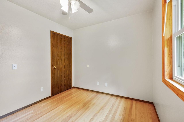 530 Dapin Rd, Madison, WI 53704 - unfurnished room featuring light wood-style flooring, ceiling fan, and healthy amount of natural light