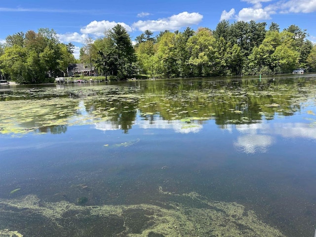715 Oak St, Shawano, WI 54166 - water view
