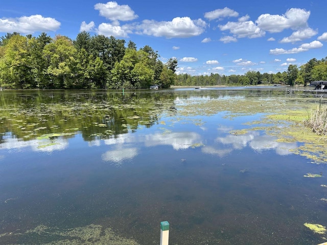 715 Oak St, Shawano, WI 54166 - water view with a forest
