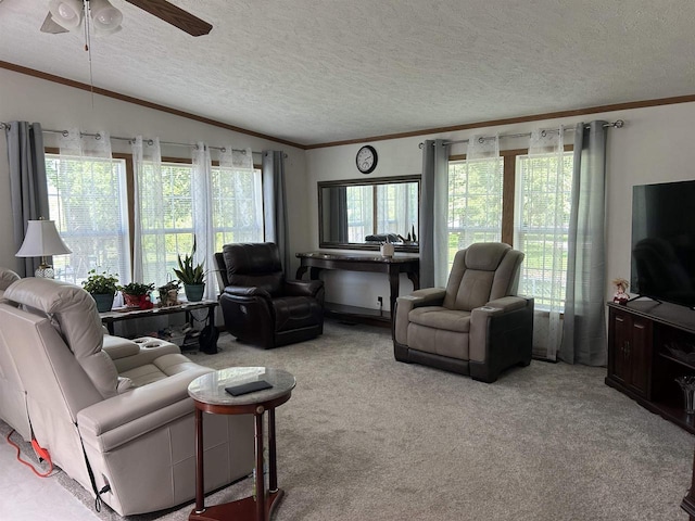 715 Oak St, Shawano, WI 54166 - carpeted living area featuring ceiling fan, a textured ceiling, ornamental molding, and lofted ceiling
