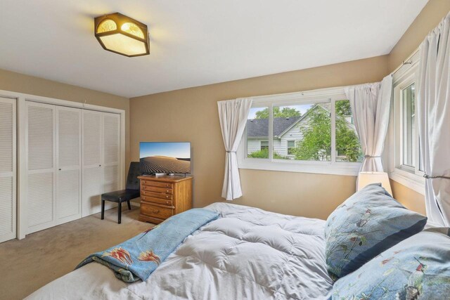 219 Summit St, Portage, WI 53901 - bedroom featuring carpet floors and a closet