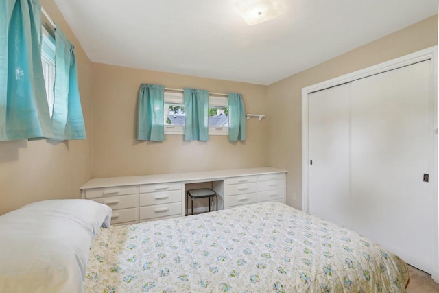 219 Summit St, Portage, WI 53901 - bedroom featuring a closet