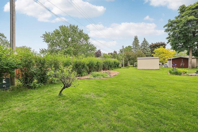 219 Summit St, Portage, WI 53901 - view of green lawn
