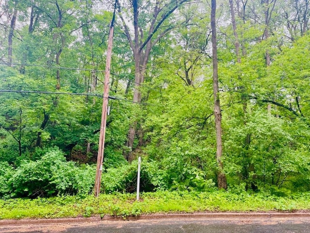 LOT0 Menomonie St, Eau Claire, WI 54703