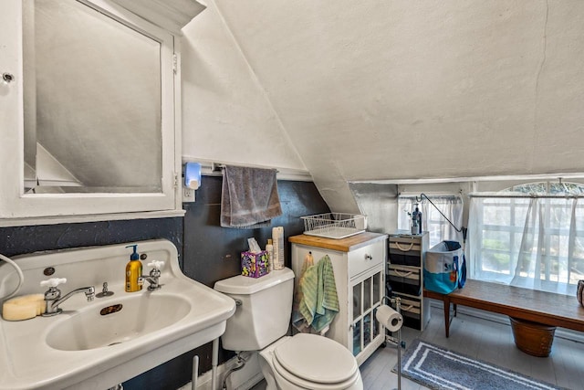 2615 N Summit Ave, Milwaukee, WI 53211 - bathroom with a sink, toilet, wood finished floors, and lofted ceiling