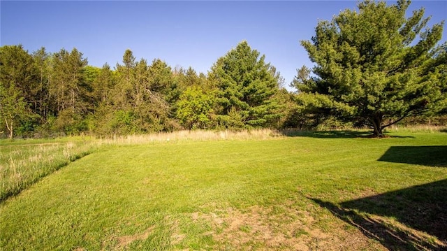 18925 63rd Ave Unit A1, Chippewa Falls, WI 54729 - view of green lawn