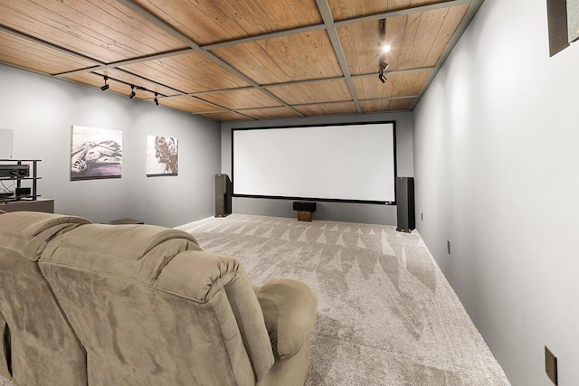 W9555 Zimmerman Dr, Beaver Dam, WI 53916 - carpeted home theater room with wood ceiling