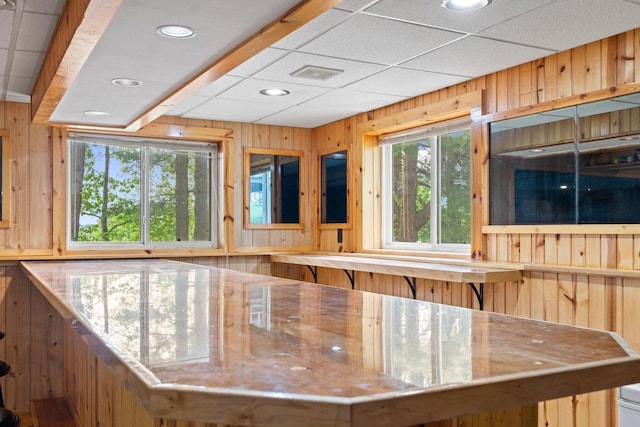 554 N Harvard Ave, Endeavor, WI 53930 - bar area featuring wood walls and recessed lighting