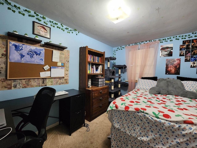 1130 10th St S, Wisconsin Rapids, WI 54494 - bedroom featuring light carpet and an office area