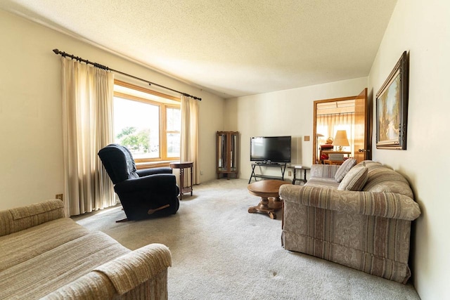 1816 Goodland Ave, Tomah, WI 54660 - carpeted living room featuring a textured ceiling