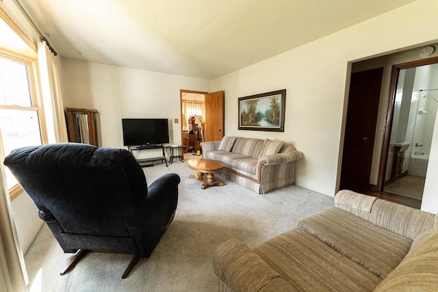 1816 Goodland Ave, Tomah, WI 54660 - living room featuring carpet floors