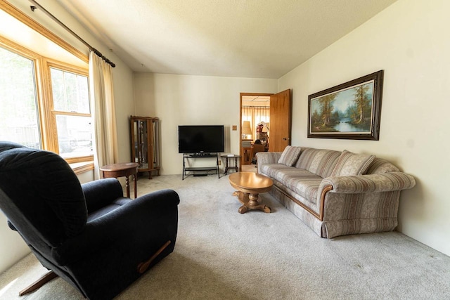 1816 Goodland Ave, Tomah, WI 54660 - view of carpeted living area
