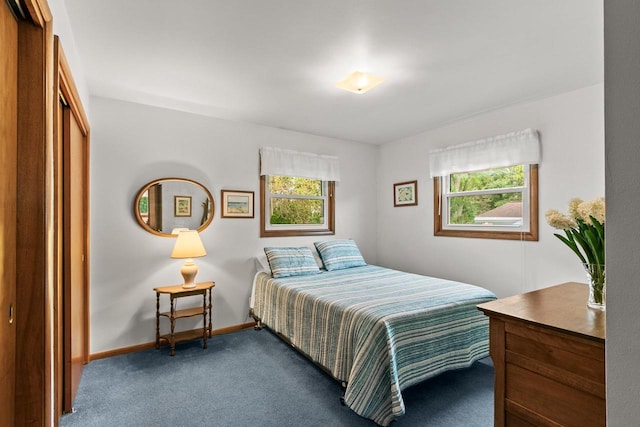 404 W Albert St, Portage, WI 53901 - carpeted bedroom featuring multiple windows, a closet, and baseboards