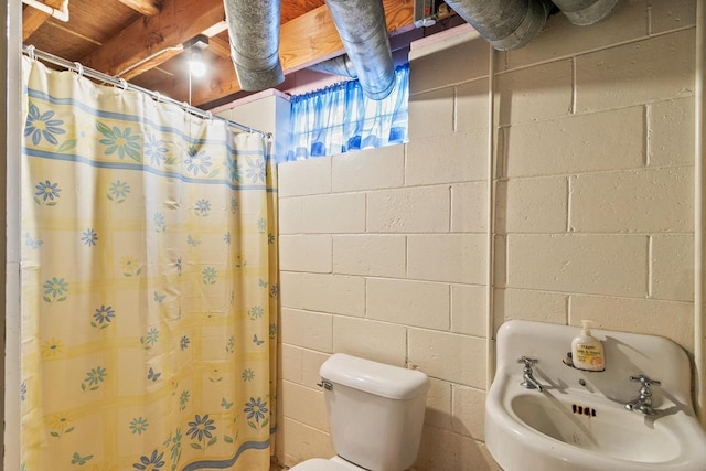 404 W Albert St, Portage, WI 53901 - bathroom featuring a sink, toilet, and curtained shower