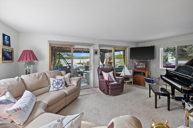 N26W30255 Maple Ave, Pewaukee, WI 53072 - view of carpeted living room