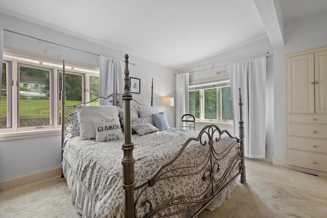 N26W30255 Maple Ave, Pewaukee, WI 53072 - bedroom featuring light carpet, multiple windows, and baseboards