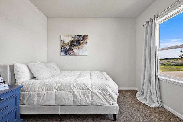 972 Margarets Way, Belleville, WI 53508 - carpeted bedroom with multiple windows and baseboards