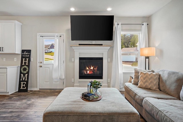 972 Margarets Way, Belleville, WI 53508 - living area with dark wood-style flooring, a glass covered fireplace, recessed lighting, and baseboards