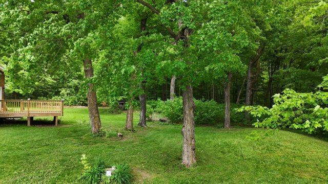 1561 240th Ave, Luck, WI 54853 - view of green lawn with a wooden deck