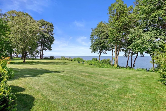 4696 N Lake Dr, Whitefish Bay, WI 53211 - view of green lawn with a water view