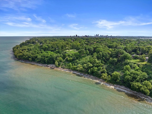4696 N Lake Dr, Whitefish Bay, WI 53211 - bird's eye view of a large body of water and a forest