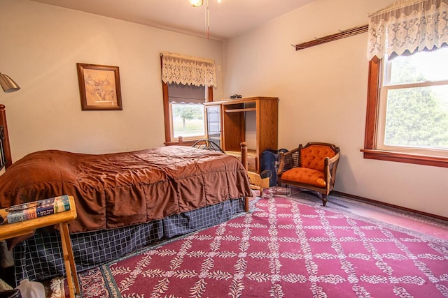 917 Whitewater Ave, Fort Atkinson, WI 53538 - view of carpeted bedroom