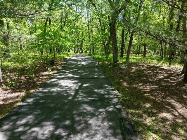 W2761 49th St, Mauston, WI 53948 - view of street featuring a forest view