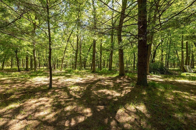 W2761 49th St, Mauston, WI 53948 - view of woods