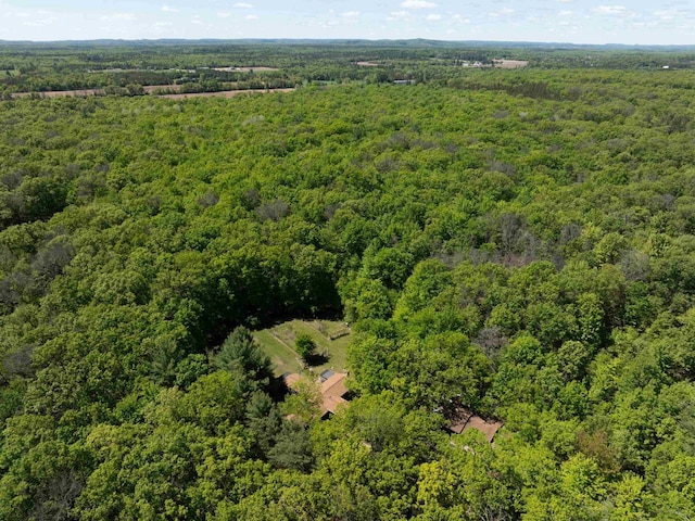 W2761 49th St, Mauston, WI 53948 - drone / aerial view of a forest