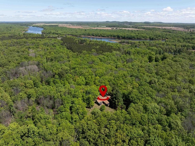 W2761 49th St, Mauston, WI 53948 - bird's eye view of a forest and a large body of water